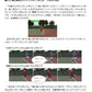 勝者のフットワーク塾 Vol.3 　解説本付き！　バックハンド編